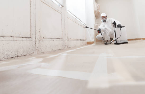 24/7 Emergency Mold Testing experts in Lafayette, OR