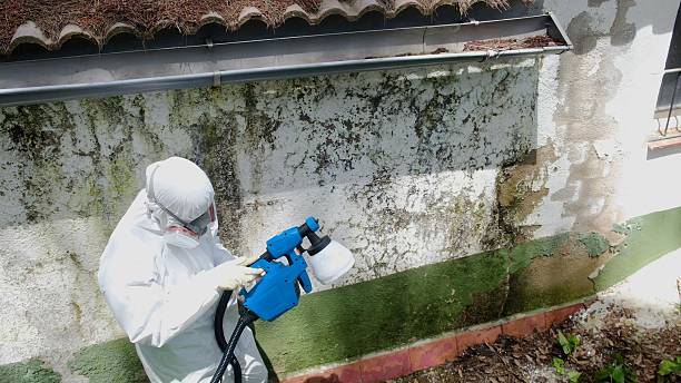 Trusted Bathroom Mold Removal service in Lafayette, OR - Cheap Mold Removal